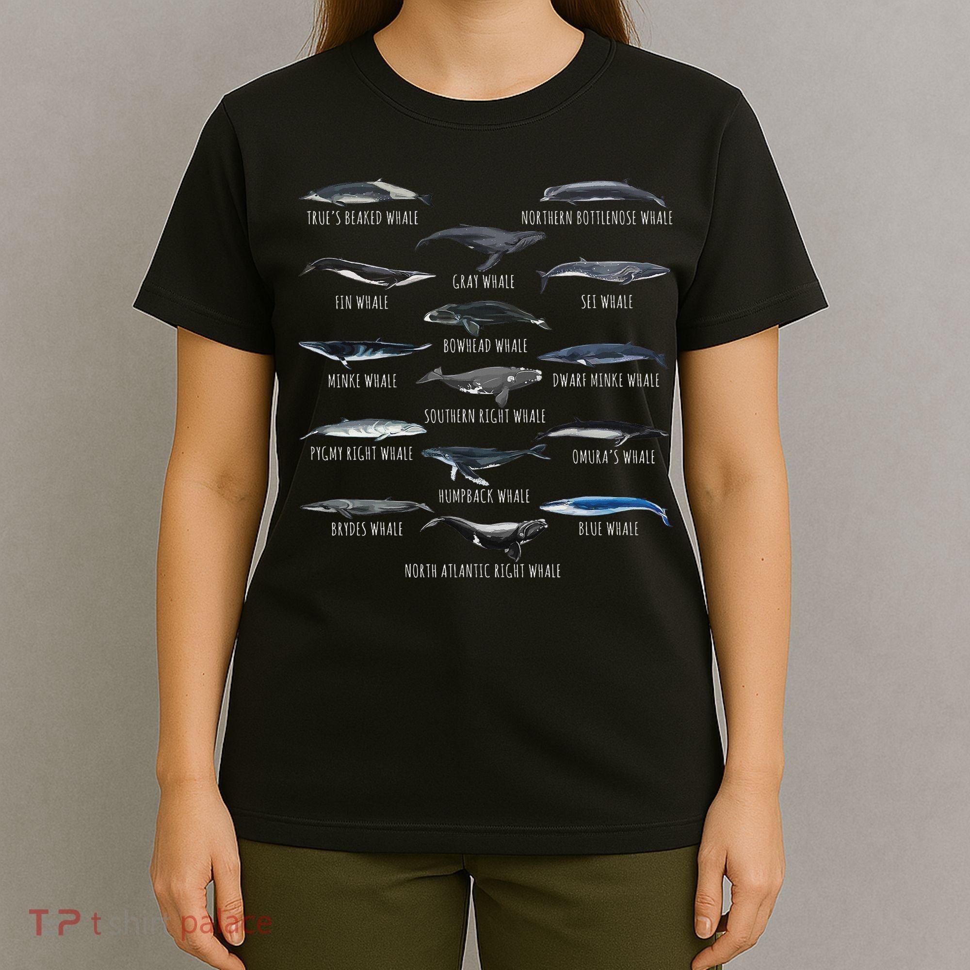 Different Whale Species Biology Types Of Whales T-Shirt