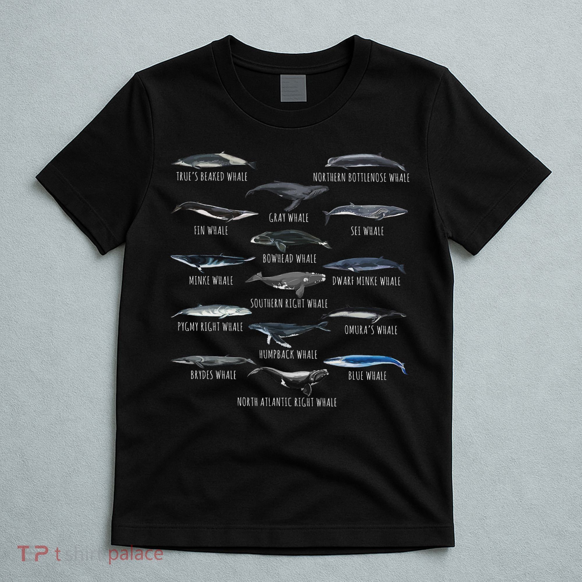 Different Whale Species Biology Types Of Whales T-Shirt