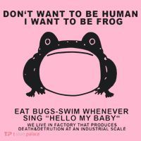 Don’t Want To Be Human I Want To Be Frog Coaster thumb 2