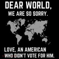 Dear World We Are So Sorry Americans Supporting Canada Ornament thumb 1