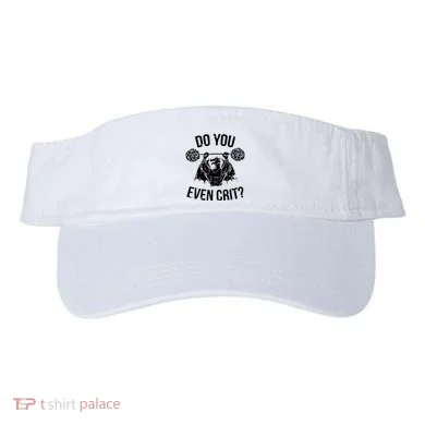 Visor