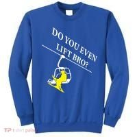 Do You Even Lift Bro Skier Ski Lover Gift Sweatshirt thumb 0