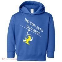 Do You Even Lift Bro Skier Ski Lover Gift Toddler Hoodie thumb 0