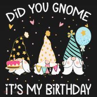 Did You Gnome Its My Birthday Funny Birthday Gnome Pun Women's Hoodie thumb 2