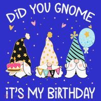 Did You Gnome Its My Birthday Funny Birthday Gnome Pun Apron thumb 3