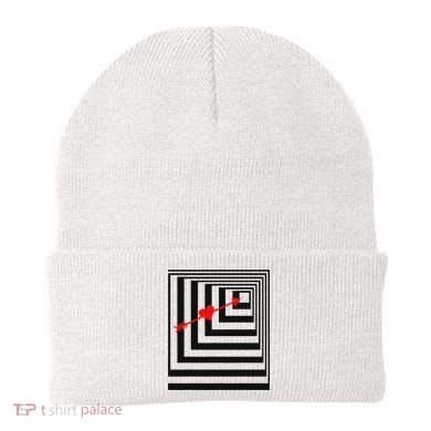 Draw You In Object College Party  Beanie