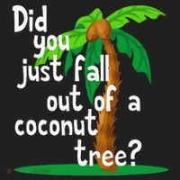 Did You Just Fall Out Of A Coconut Tree Hat thumb 2