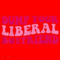 Dump Your Liberal Boyfriend Funny Gift Santa Hat thumb 1