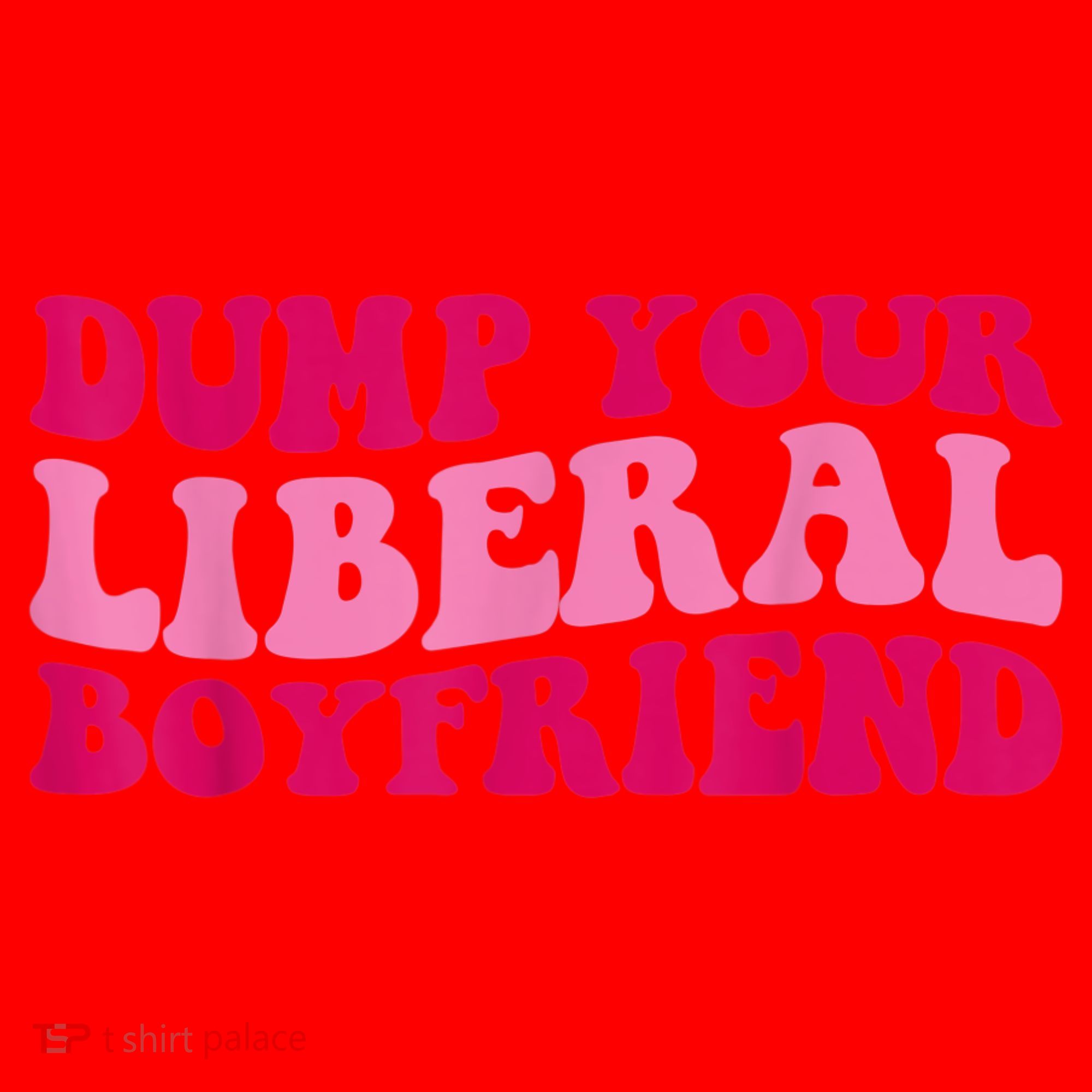 Dump Your Liberal Boyfriend Funny Gift Santa Hat