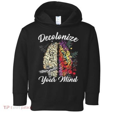 Decolonize Your Mind Indigenous People Native American Toddler Hoodie