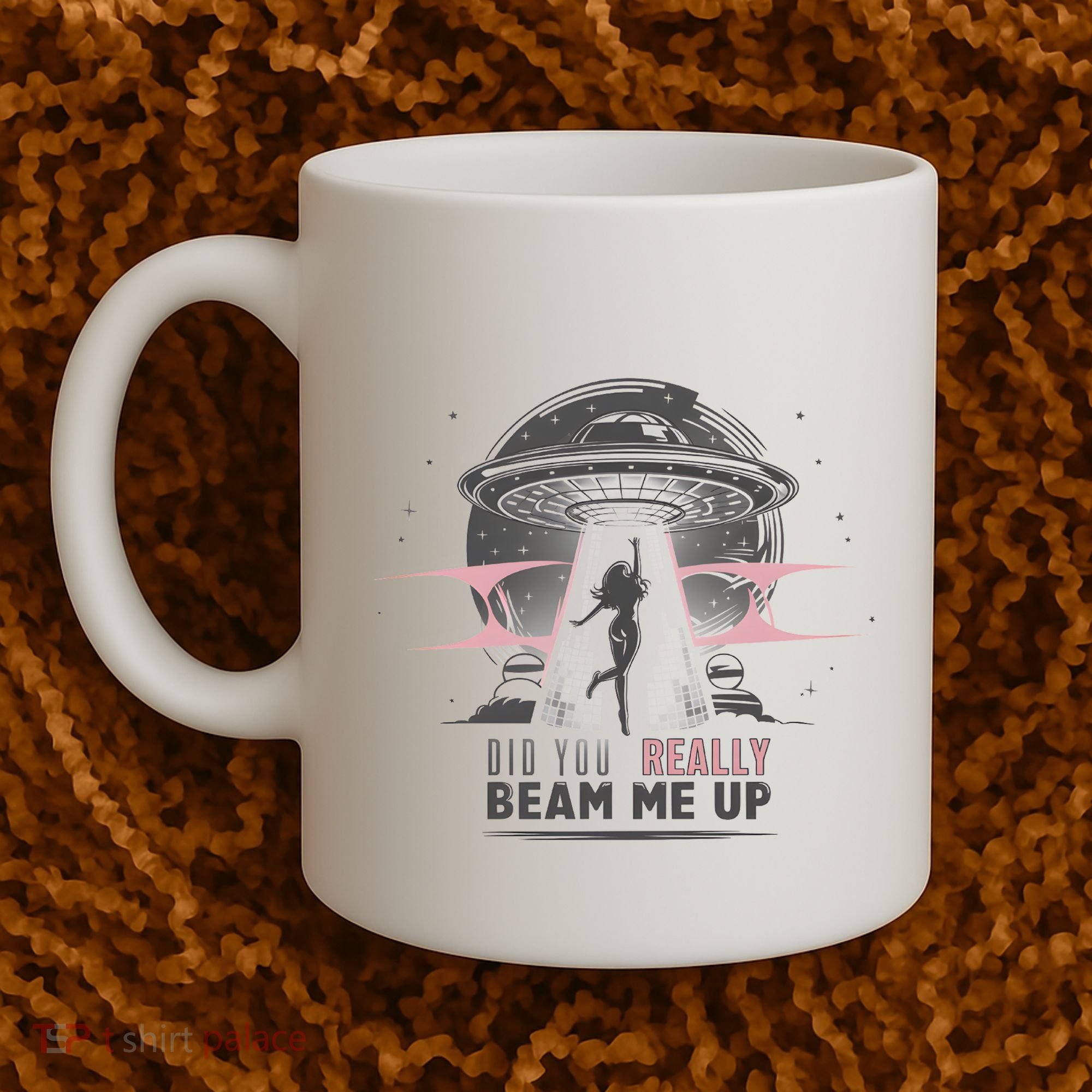 Did You Really Beam Me Up Taylor Lover Coffee Mug