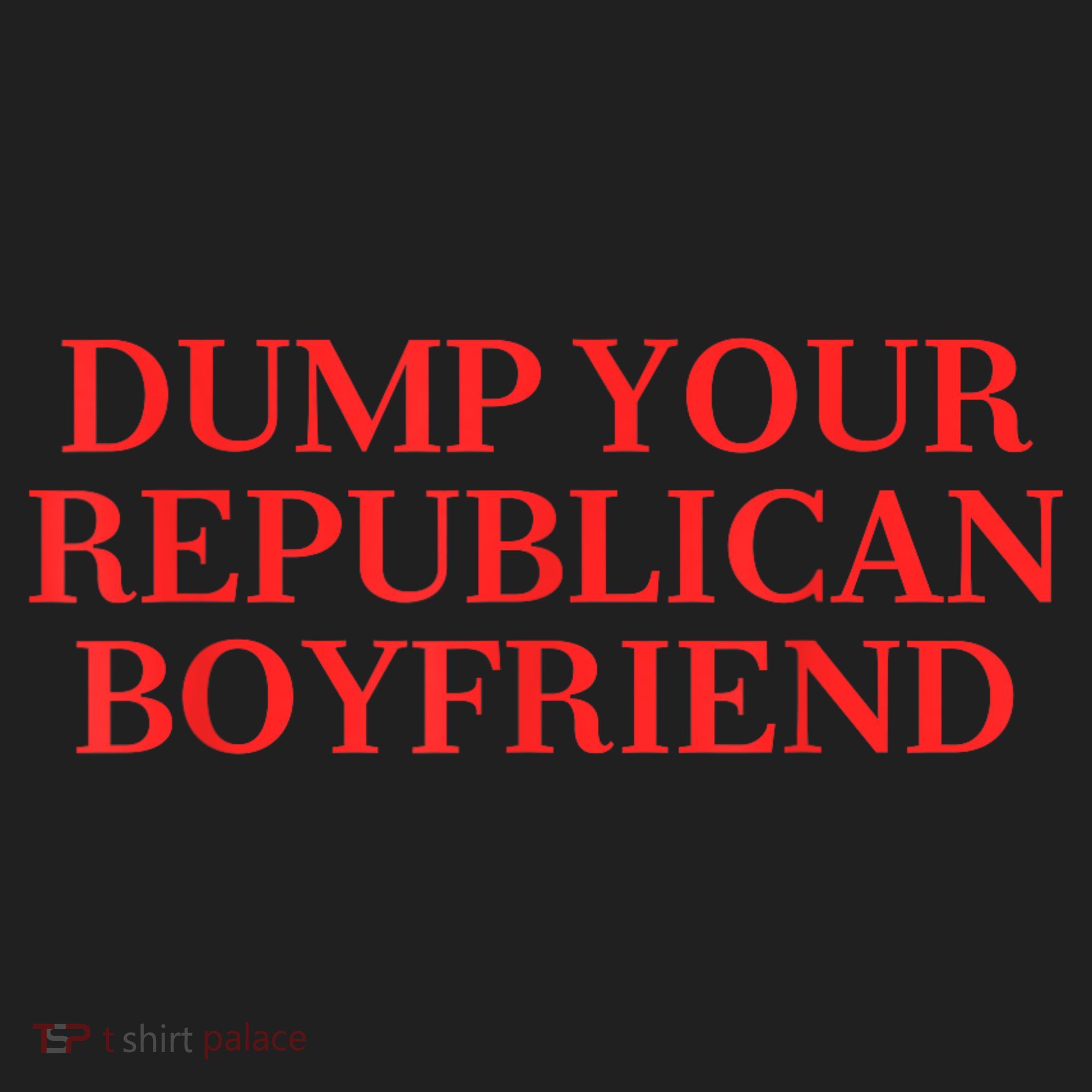 Dump Your Republican Boyfriend Funny Quote Beanie