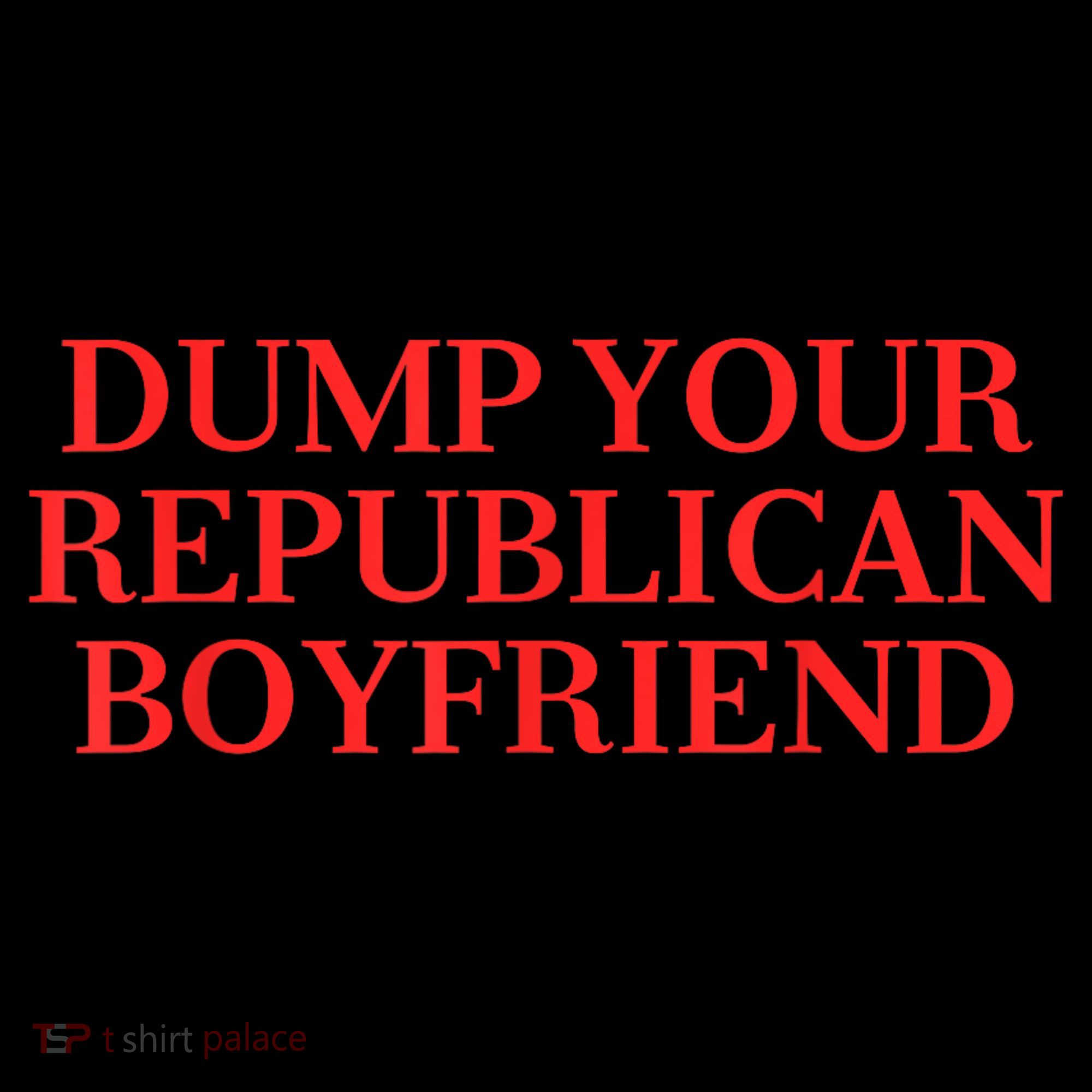 Dump Your Republican Boyfriend Funny Quote Women's Hoodie