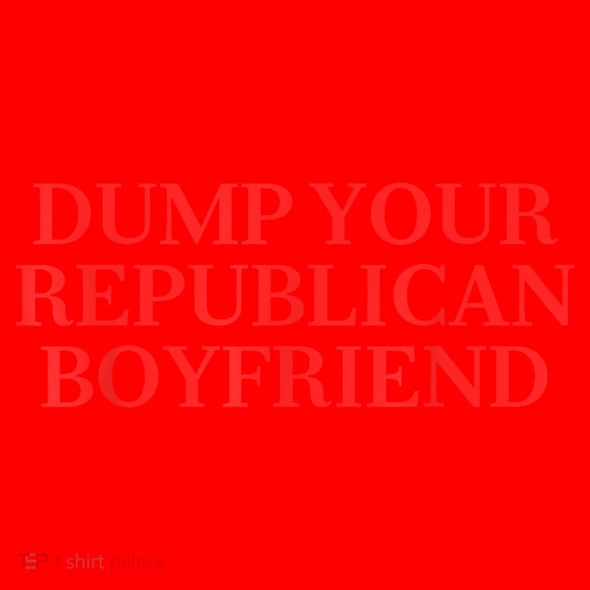 Dump Your Republican Boyfriend Funny Quote Santa Hat