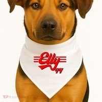 Elly 44 Cincinnati Baseball USA-Made Doggie Bandana thumb 1