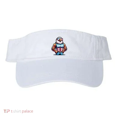 Visor