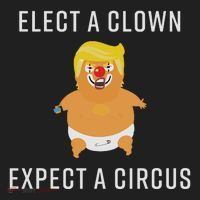 Elect A Clown Expect A Circus Hat thumb 2