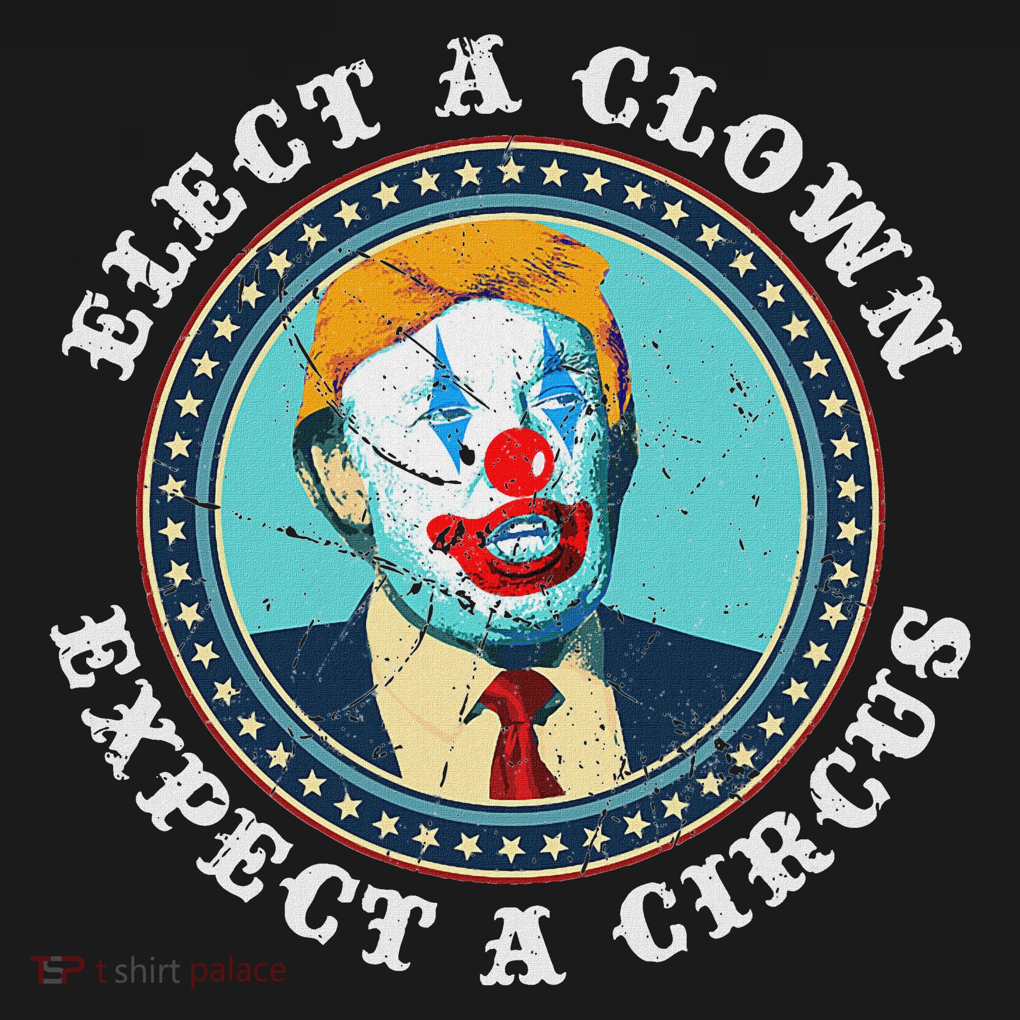 Elect A Clown Expect A Circus Anti Trump Women's Long Sleeve Shirt