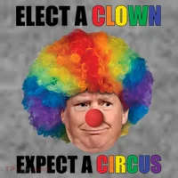 Elect A Clown Expect A Circus Toddler Hoodie thumb 2