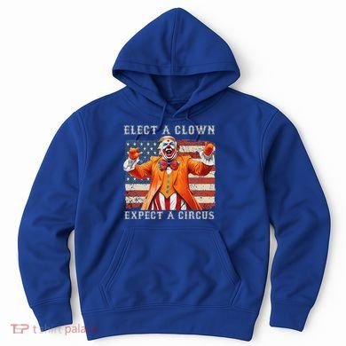 Elect A Clown Expect A Circus Usa Flag Hoodie