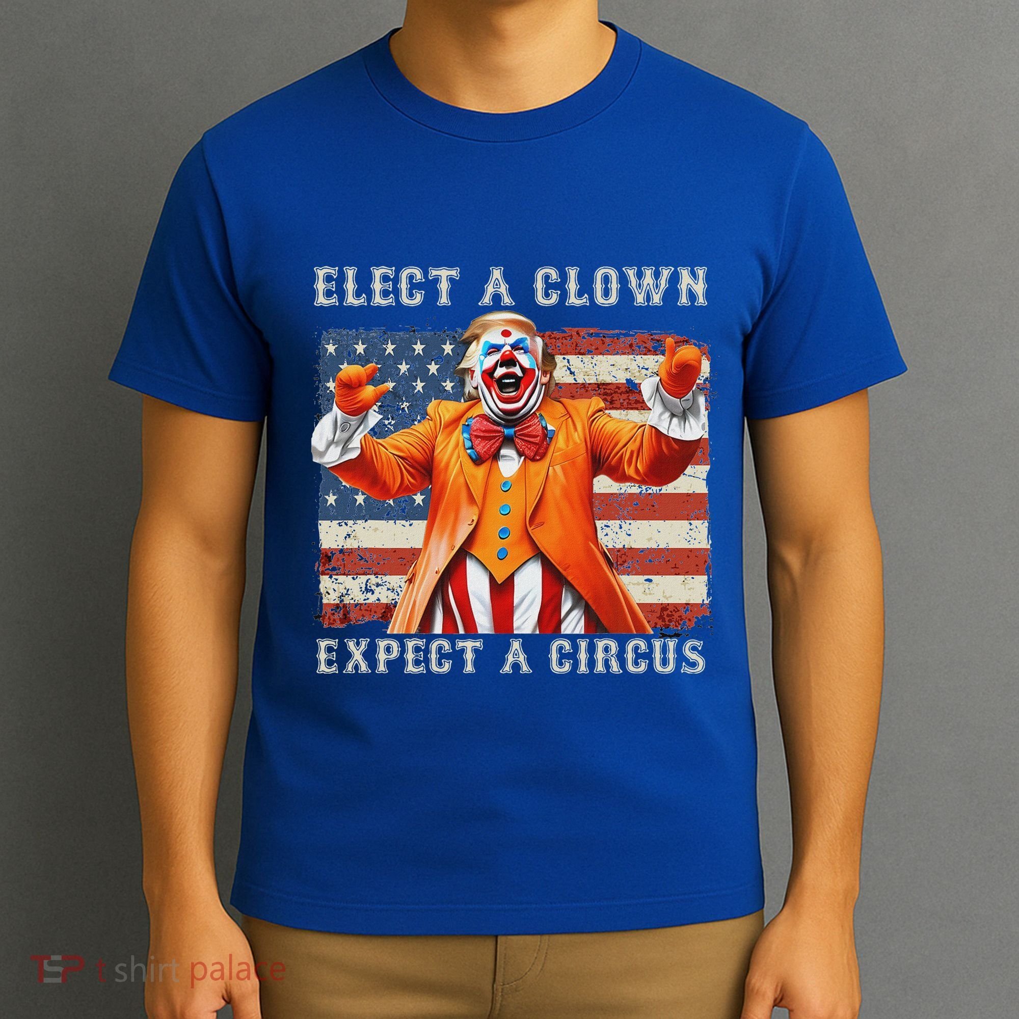Elect A Clown Expect A Circus Usa Flag T-Shirt
