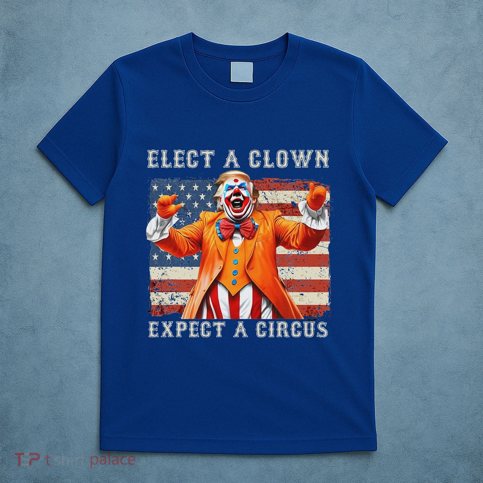 Elect A Clown Expect A Circus Usa Flag T-Shirt
