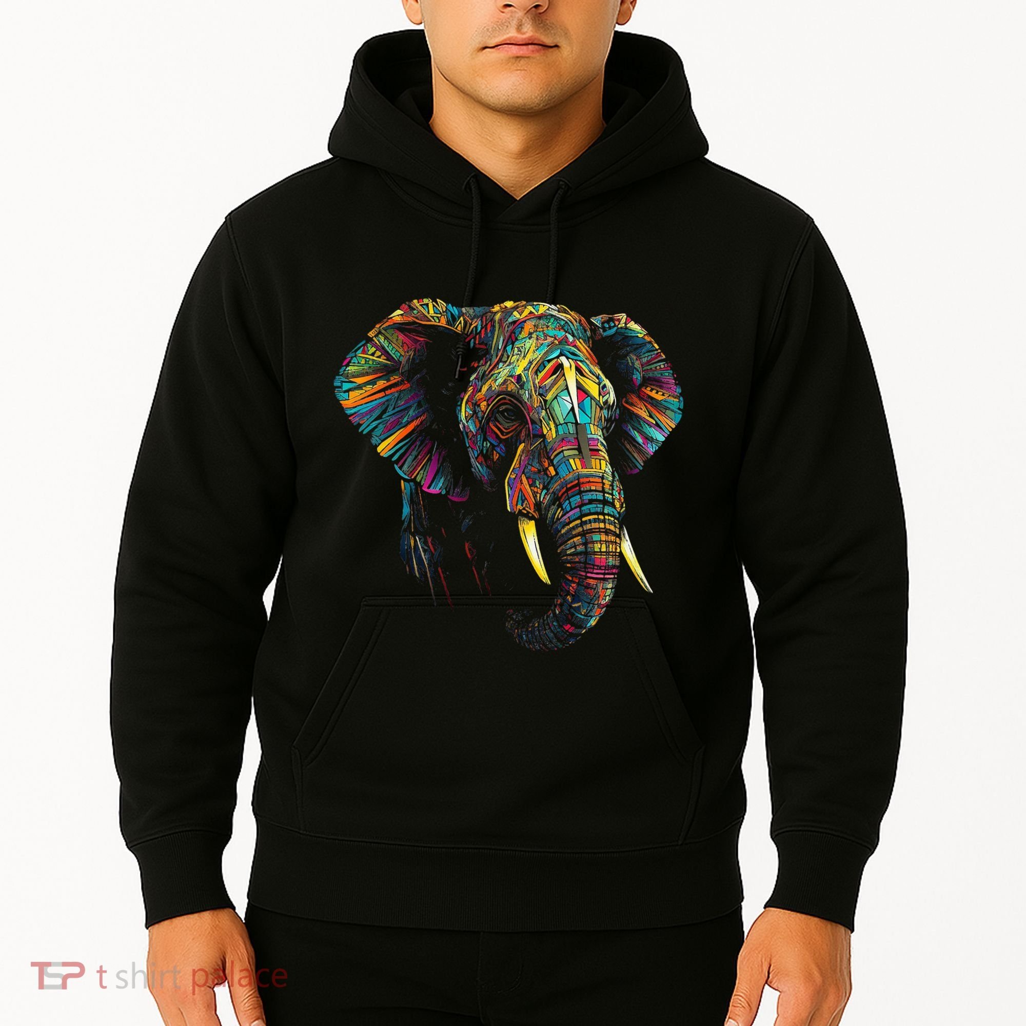 Elephant Animal Colourful Zoo Art Elephant Hoodie