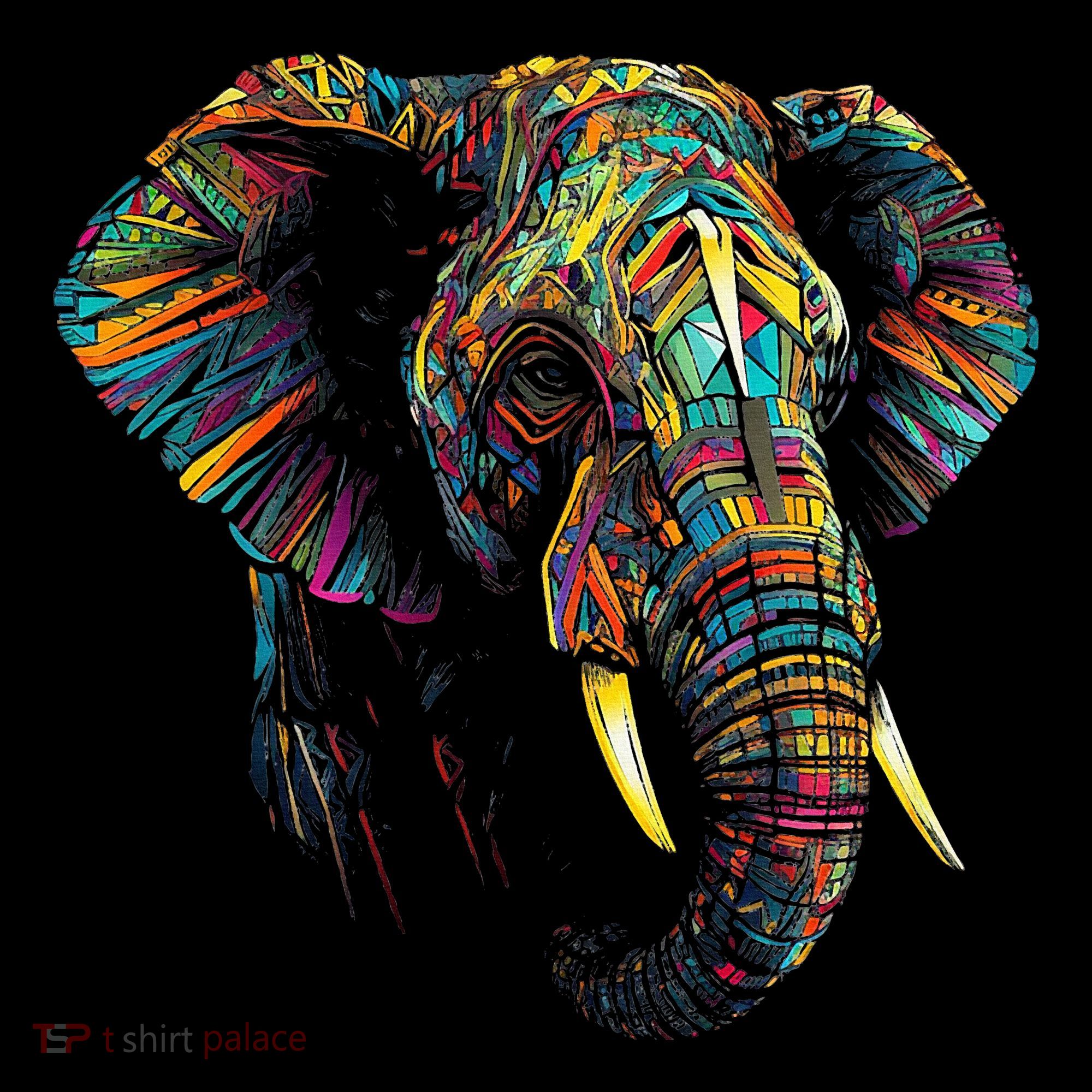 Elephant Animal Colourful Zoo Art Elephant Women's Hoodie