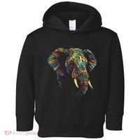 Elephant Animal Colourful Zoo Art Elephant Toddler Hoodie thumb 0
