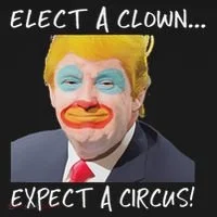 Elect A Clown Expect A Circus Toddler Hoodie thumb 2