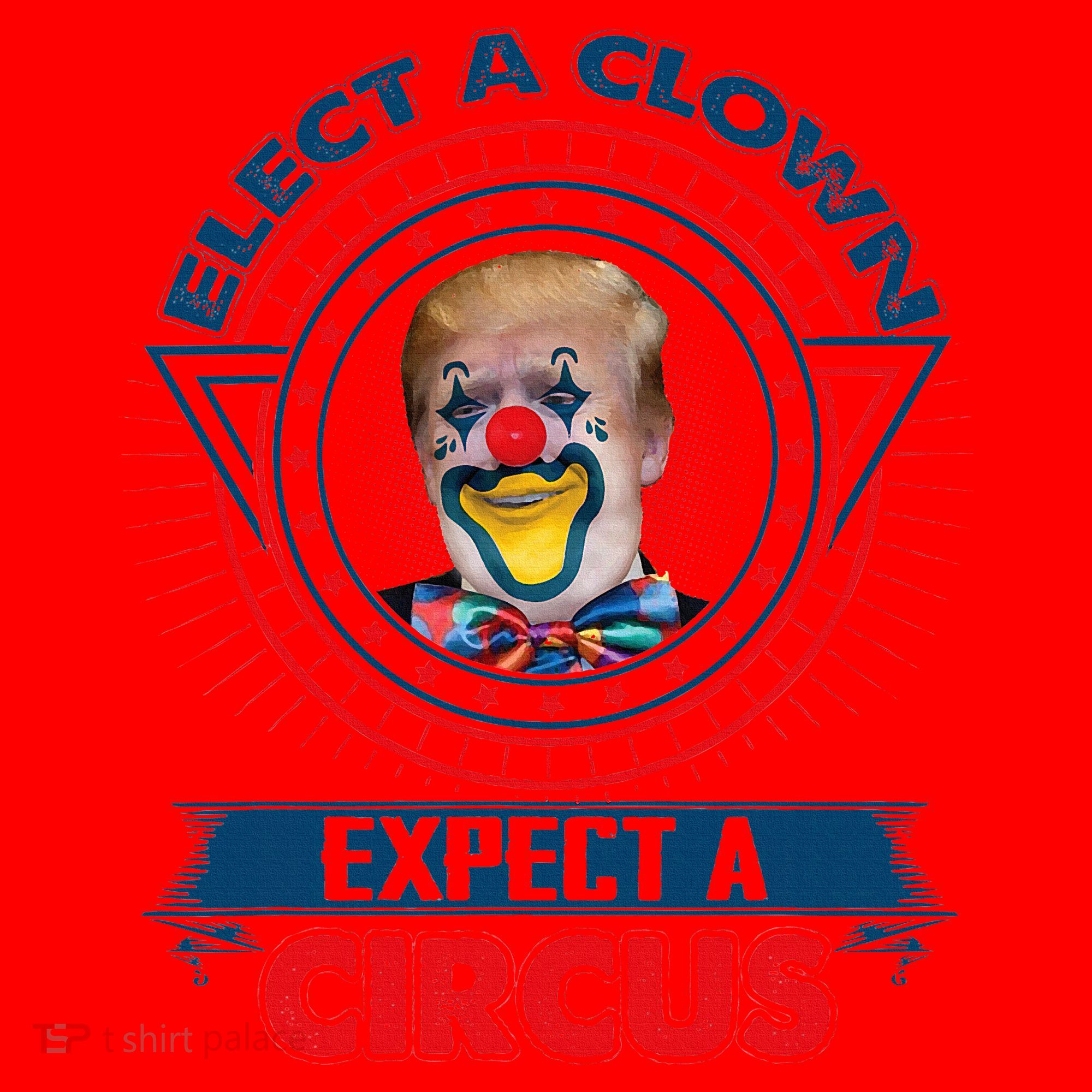 Elect A Clown Expect A Circus Funny Antitrump Santa Hat