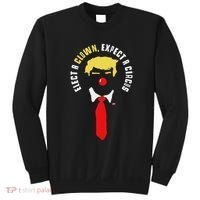 Elect A Clown Expect A Circus Funny Anti Trump Graphic Sweatshirt thumb 0