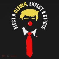 Elect A Clown Expect A Circus Funny Anti Trump Graphic Women's Hoodie thumb 2