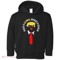 Elect A Clown Expect A Circus Funny Anti Trump Graphic Toddler Hoodie thumb 0
