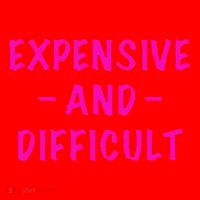 Expensive And Difficult Funny Saying Women Mother's Day Santa Hat thumb 1