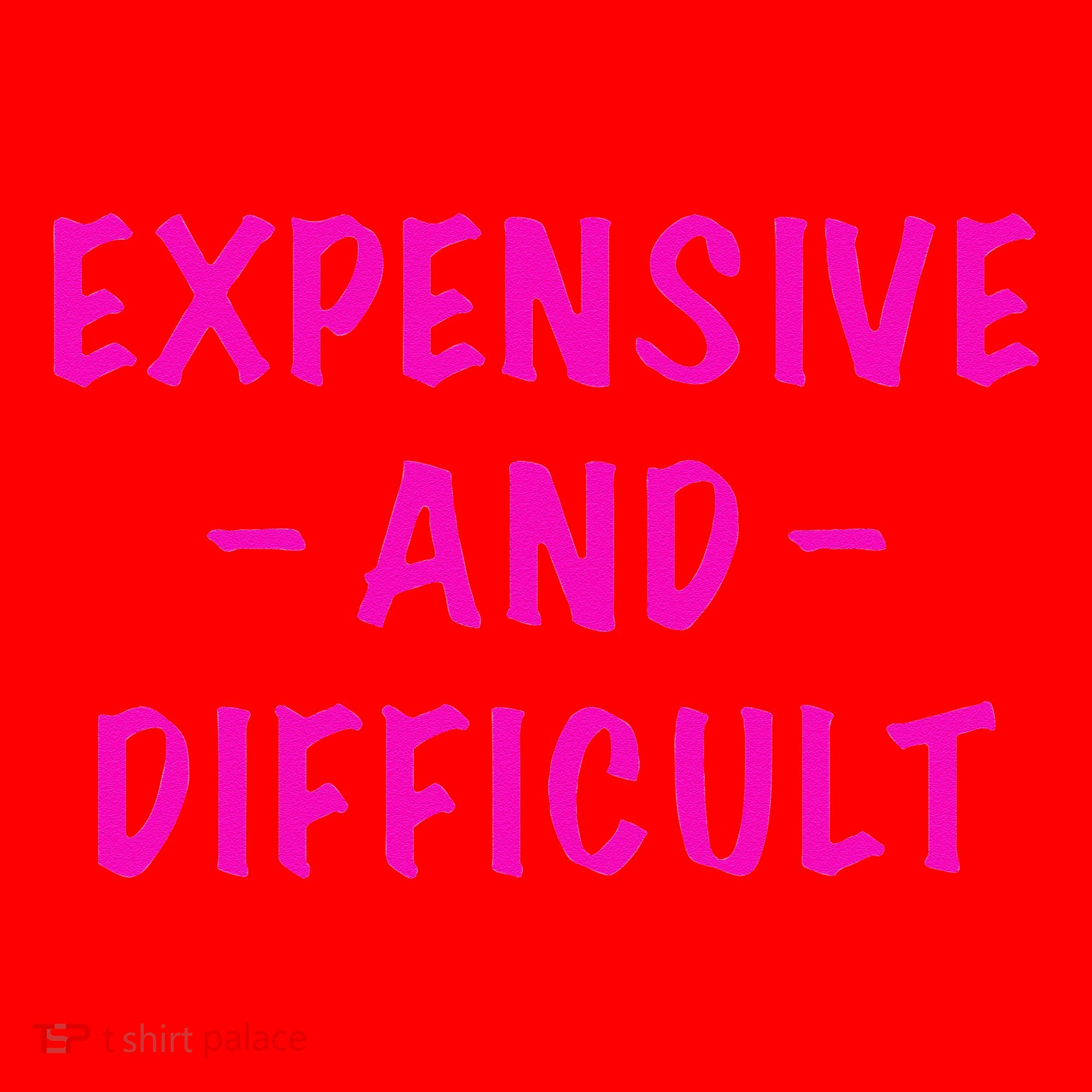 Expensive And Difficult Funny Saying Women Mother's Day Santa Hat