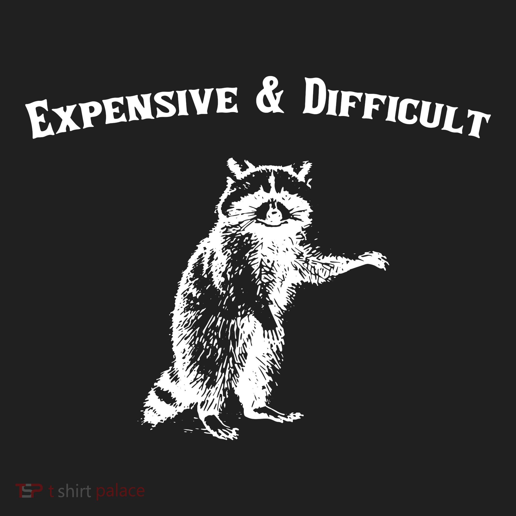Expensive And Difficult Retro Funny Raccoon Women's Sweatshirt