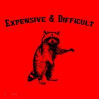 Expensive And Difficult Retro Funny Raccoon Santa Hat thumb 1