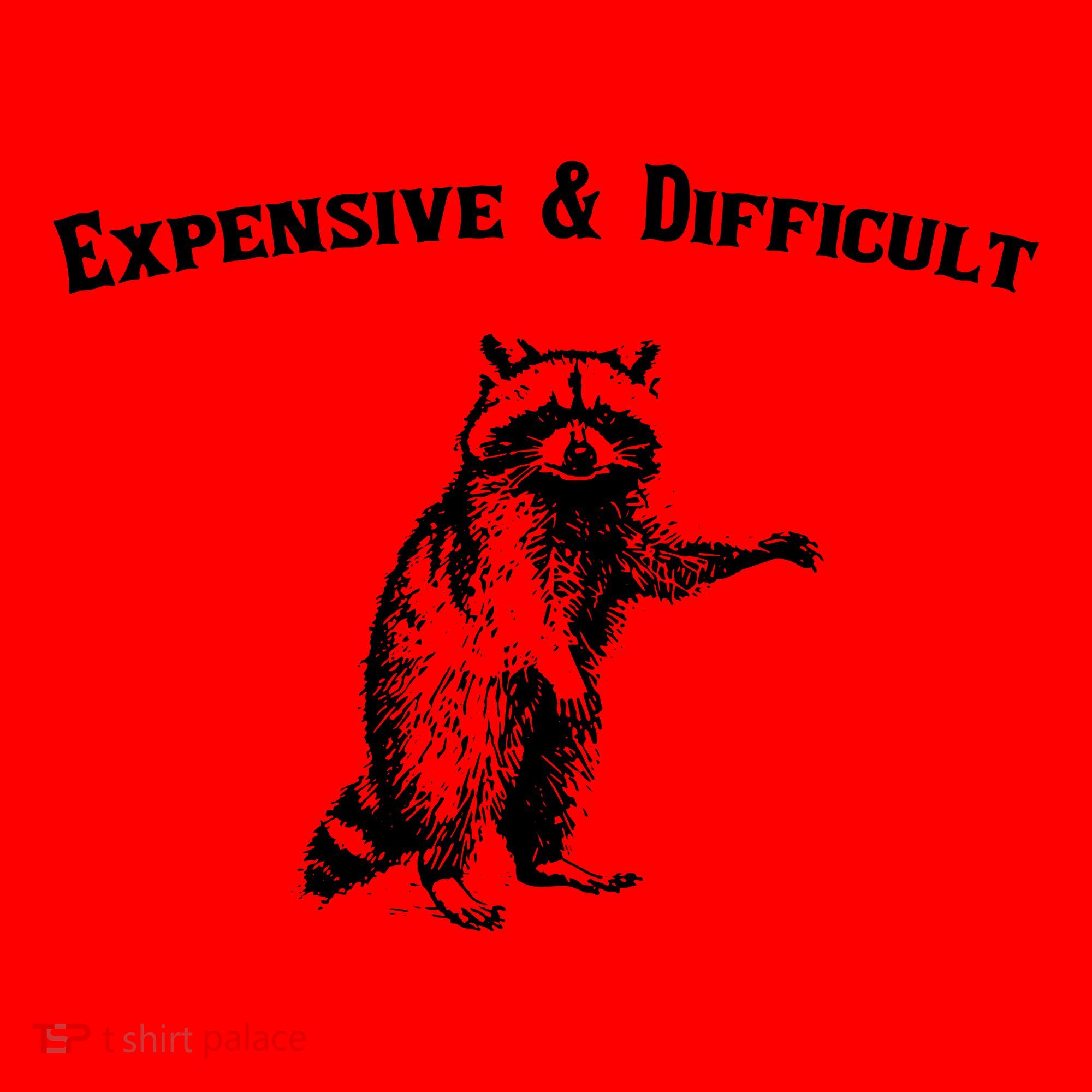 Expensive And Difficult Retro Funny Raccoon Santa Hat
