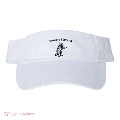 Visor