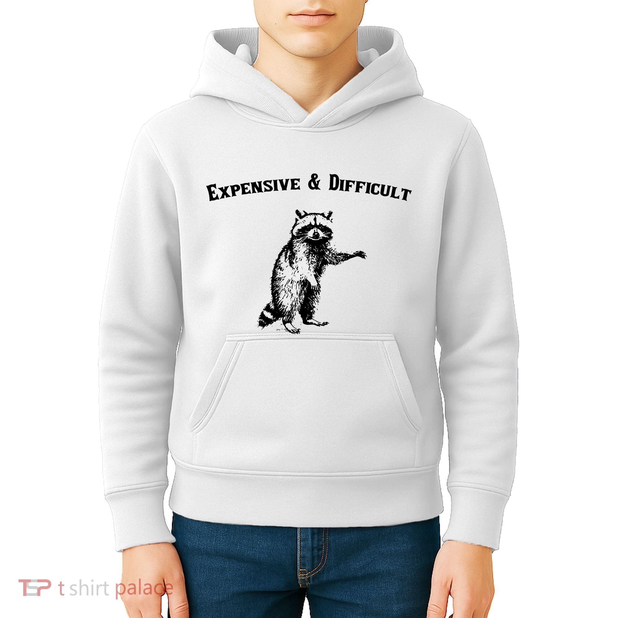 Expensive And Difficult Retro Funny Raccoon Kids Hoodie