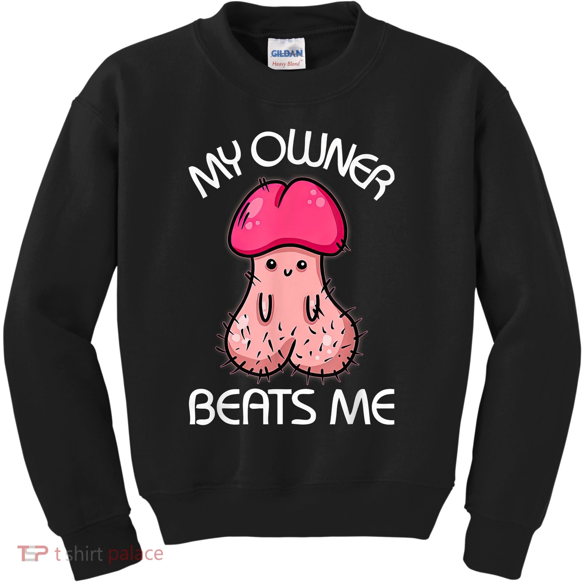 Embarrassing Adult Humor Inappropriate My Owner Beats Me Kids Sweatshirt