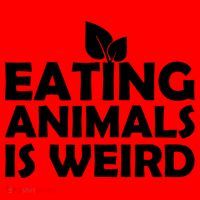Eating Animals Is Weird Gift Vegan Vegetarian Support Santa Hat thumb 1
