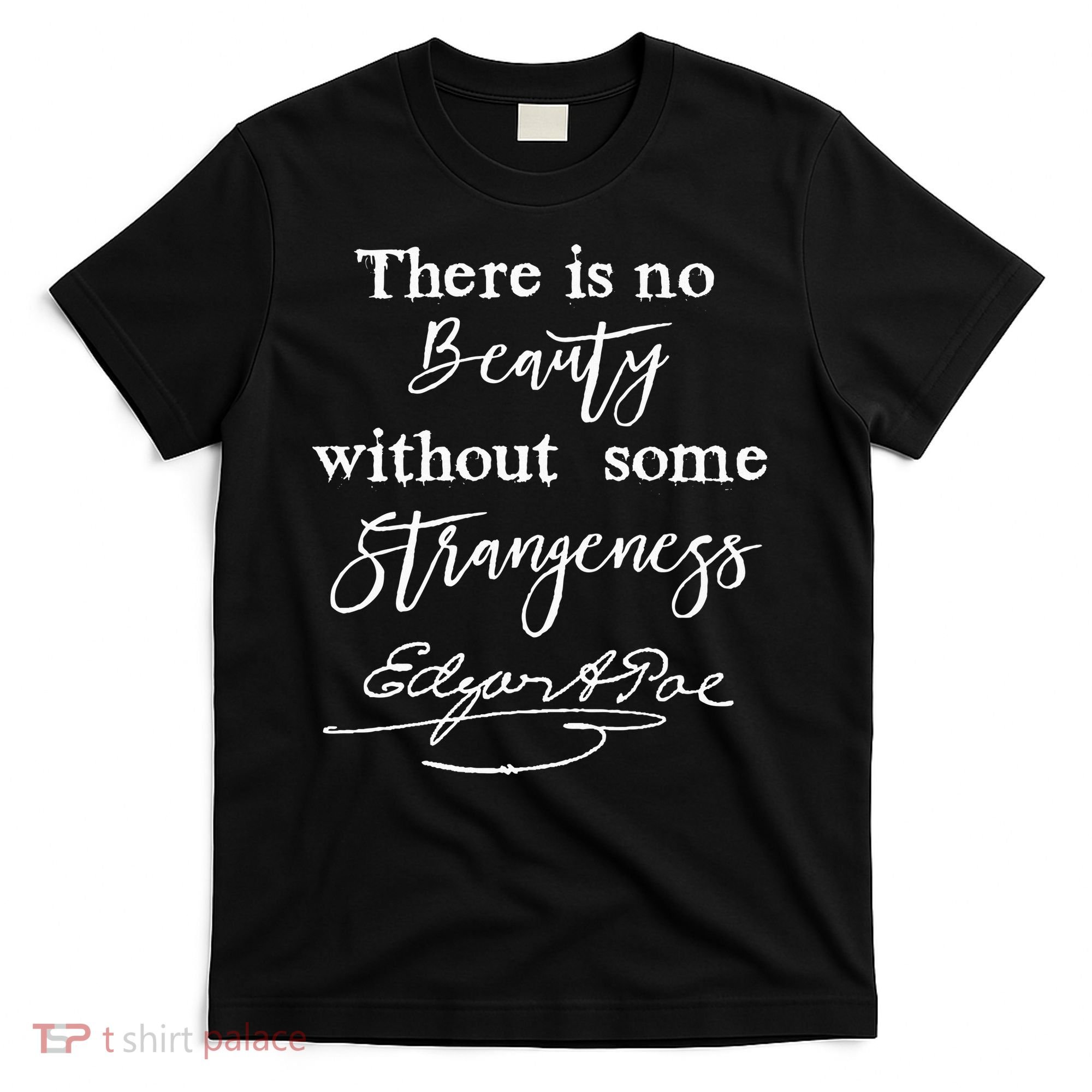 Edgar Allan Poe Writer Art Literary Gifts Gothic Bookworm T-Shirt