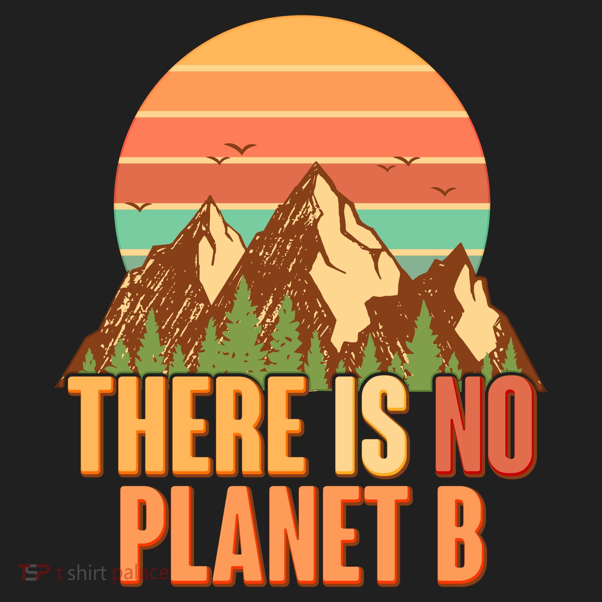 Earth Day There Is No Planet B Women's Sweatshirt