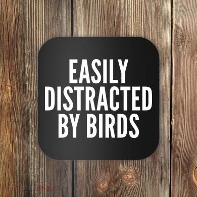 Easily Distracted By Birds Coaster
