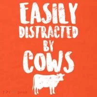 Easily Distracted By Cows Button thumb 1
