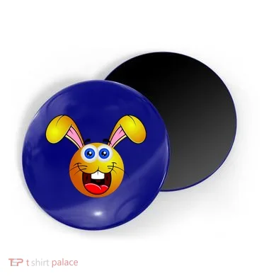 Magnet