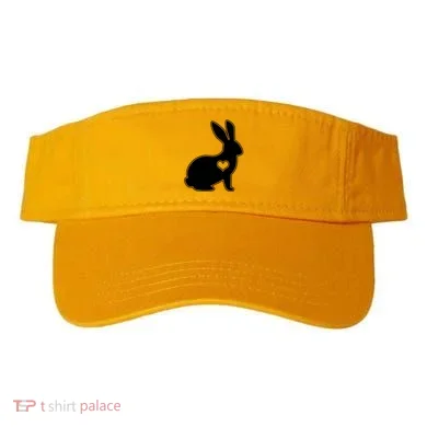 Visor