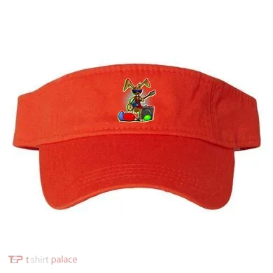 Visor